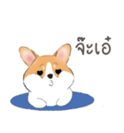 かわいいコーギー犬 v.1（個別スタンプ：8）