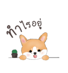 かわいいコーギー犬 v.1（個別スタンプ：9）