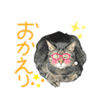 ネコのあいさつ♡（個別スタンプ：6）