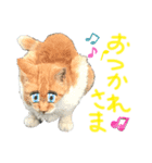 ネコのあいさつ♡（個別スタンプ：7）
