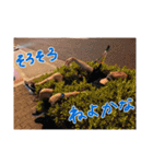 財閥すたんぷ！！！！（個別スタンプ：38）