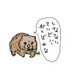 慰めてくれるウォンバットさんとなかまたち（個別スタンプ：1）