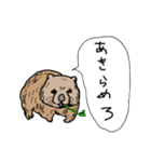 慰めてくれるウォンバットさんとなかまたち（個別スタンプ：4）