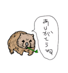 慰めてくれるウォンバットさんとなかまたち（個別スタンプ：7）