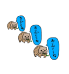 慰めてくれるウォンバットさんとなかまたち（個別スタンプ：8）