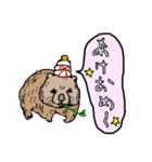 慰めてくれるウォンバットさんとなかまたち（個別スタンプ：12）