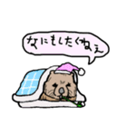 慰めてくれるウォンバットさんとなかまたち（個別スタンプ：14）