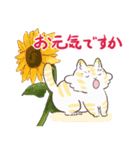 ねこのぽむ（個別スタンプ：16）