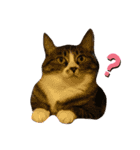 ねこさんとももんがさん（個別スタンプ：2）