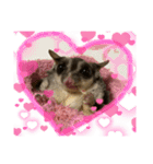 ねこさんとももんがさん（個別スタンプ：8）