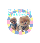 ポメラニアンあずきもなか①（個別スタンプ：8）