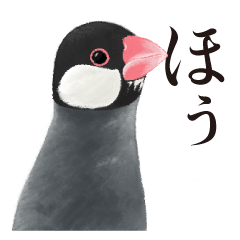 [LINEスタンプ] 渋い文鳥