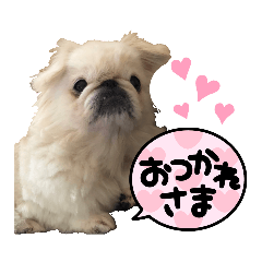 [LINEスタンプ] なな＆愛苺のお家