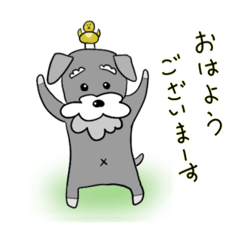 [LINEスタンプ] シュナウザーのジャンくん