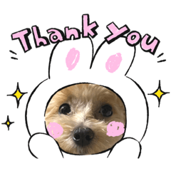 [LINEスタンプ] うちの子たち  その2