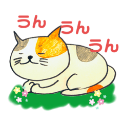 [LINEスタンプ] 猫スタ 初心者系 下町スタイル