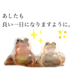 [LINEスタンプ] カエルと月と金魚