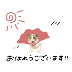 [LINEスタンプ] ♡sae様