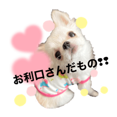 [LINEスタンプ] ペロちゃんはお利口さんだもの3