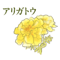 [LINEスタンプ] 水彩の黄色い花メッセージスタンプ