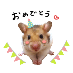 [LINEスタンプ] ちっちゃなゴールデンハムスター