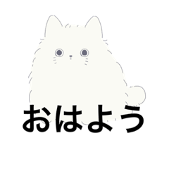 [LINEスタンプ] ねこが喋った！