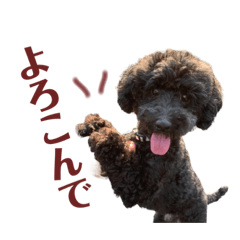 [LINEスタンプ] メ～さんちのpon！