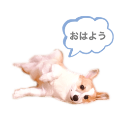[LINEスタンプ] なぎちゃん頑張ってる2