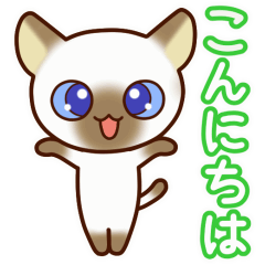 [LINEスタンプ] 動くねこたちの優しさスタンプ