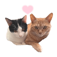 [LINEスタンプ] とらちゃんともじろう！