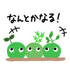 [LINEスタンプ] こけだまくんの日常