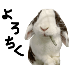 [LINEスタンプ] あんたたち、あたちよ。