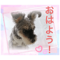[LINEスタンプ] チャッピーちゃんスタンプNo2