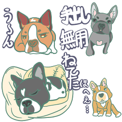 [LINEスタンプ] フレンチブルドッグ スタンプ1