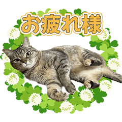 [LINEスタンプ] みらいちゃんのご挨拶