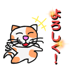 [LINEスタンプ] 表情を変えない猫スタンプ