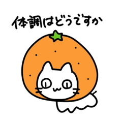 [LINEスタンプ] 一円玉ねこの日常スタンプ