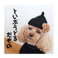 [LINEスタンプ] トイプードル メロディの日常スタンプ2♫