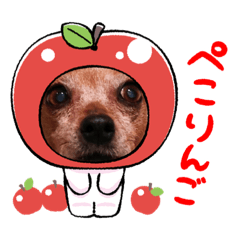 [LINEスタンプ] うちの可愛い松子ちゃん