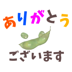 [LINEスタンプ] 丁寧でカワイイ野菜スタンプ