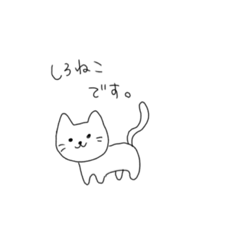 [LINEスタンプ] ほのぼのゆるいしろねこちゃん