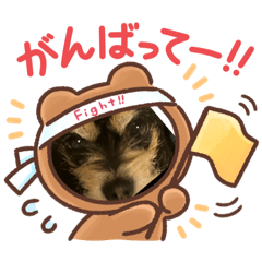 [LINEスタンプ] 私の飼い犬です