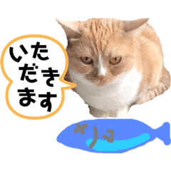 [LINEスタンプ] カフェオニさんのご挨拶❤️