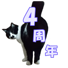 [LINEスタンプ] 木更津猫チョビすけ_04