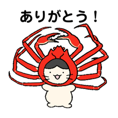 [LINEスタンプ] うみ×にゃんこ