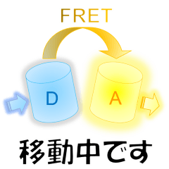 [LINEスタンプ] 光化学・光反応・色素のスタンプ