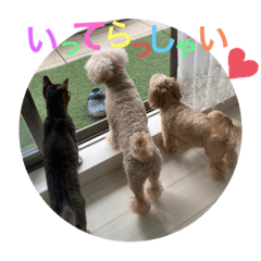 [LINEスタンプ] とえだーず