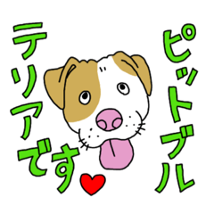 [LINEスタンプ] アメリカンピットブルテリアのスタンプ