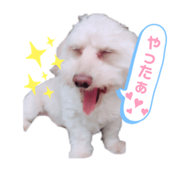 [LINEスタンプ] ロックんのスタンプです