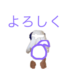 [LINEスタンプ] ゴハモチ！？(実写)